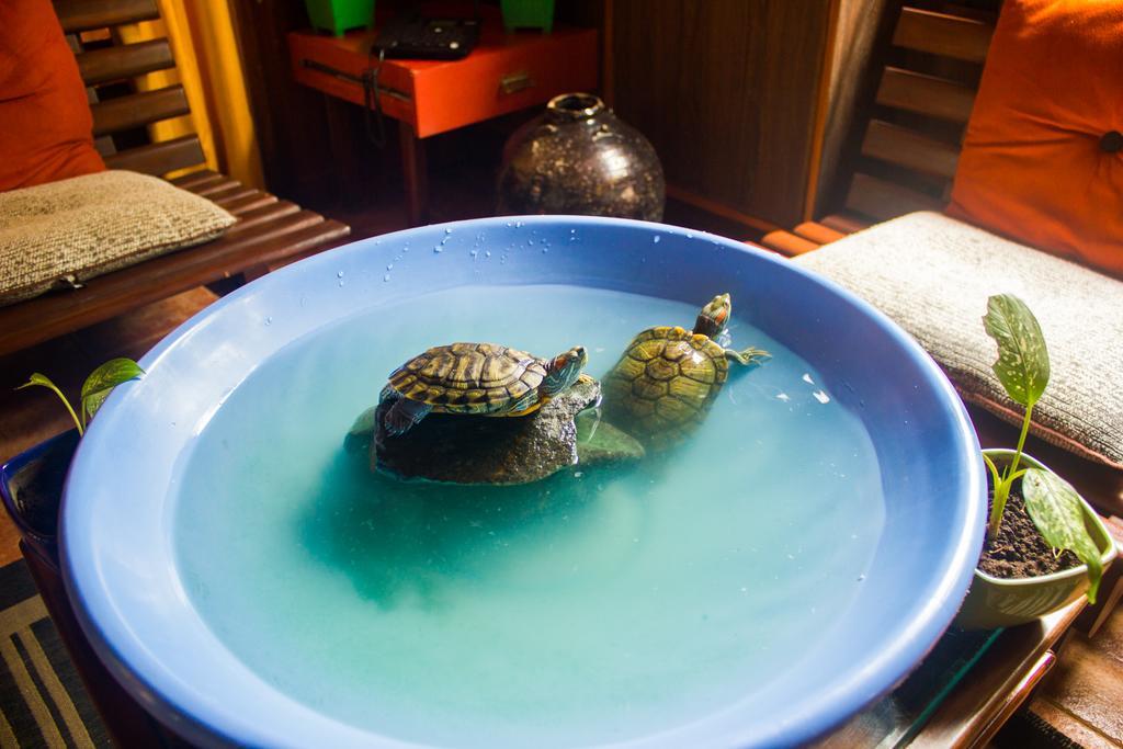 Casa Tropicana - Hotel & Homestays Panaji Luaran gambar